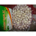 Size 5.0 New Crop Fresh Normal White Garlic